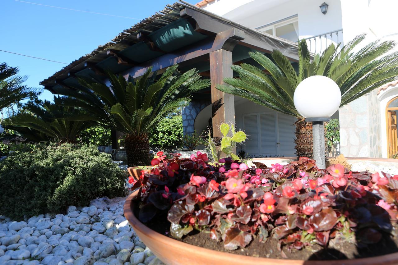 B&B Villa La Cicas 阿纳卡普里 外观 照片
